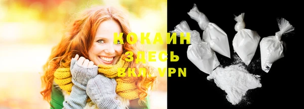 соль ск Абаза